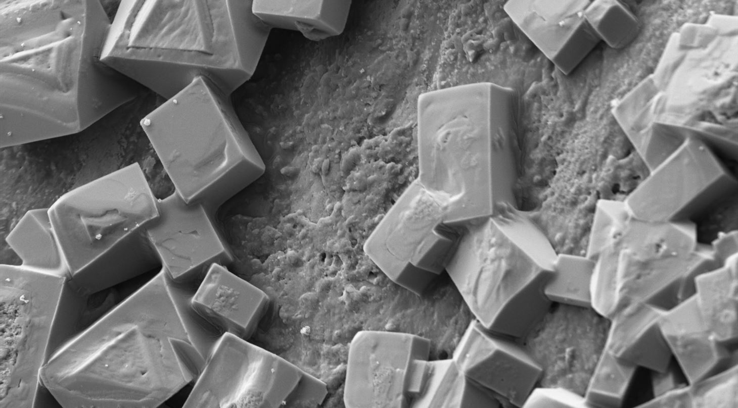 Shows a SEM image of square crystals